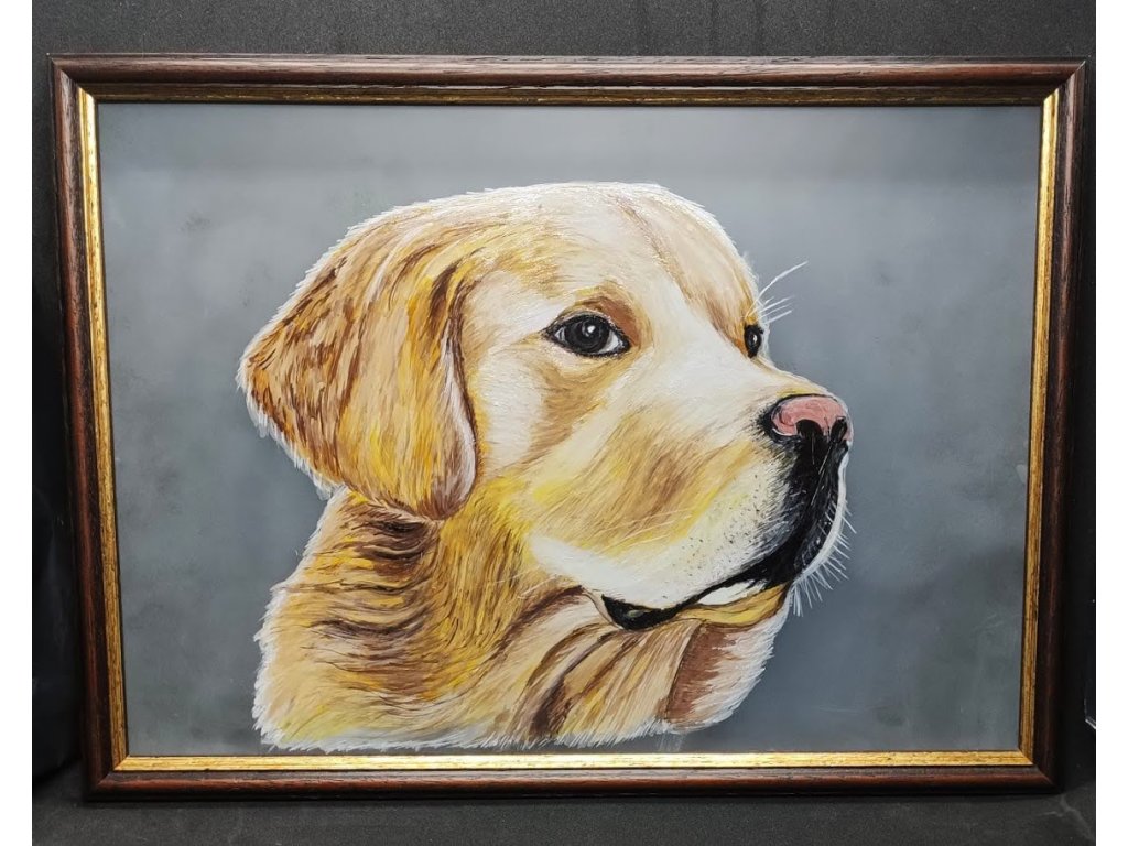 Malovaný obraz LABRADOR 31x28cm